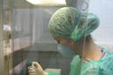 Genética Forense