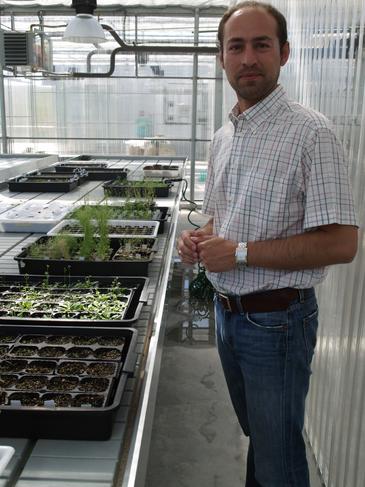 Investigadores del Centro Hispanoluso de Investigaciones Agrarias trabajan para que las plantas soporten la sequía o el frío.