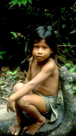 Científicos e indígenas del Amazonas se unen por el desarrollo sostenible