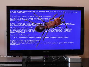 Los algoritmos basados en colonias de hormigas encuentran los defectos del software eficientemente. /INTEF y wikimedia commons (composición de elaboración propia). Los algoritmos basados en colonias de hormigas encuentran los defectos del software eficientemente. /INTEF y wikimedia commons (composición de elaboración propia).