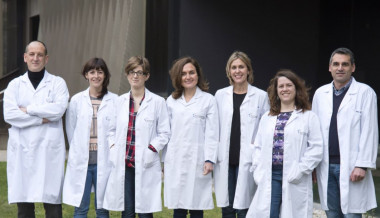 <p>De izda. a dcha.:Iñigo Lasa, Maite Villanueva, Beatriz Rapun, Cristina Solano, Jaione Valle, Begoña García y Alejandro Toledo. / Navarrabiomed</p>