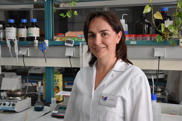 ¿Cómo incorporar aceites saludables a las mezclas industriales de alimentos? ¿Cómo incorporar aceites saludables a las mezclas industriales de alimentos?