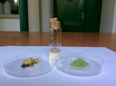 <p>A la izquierda, semillas de borraja y productos derivados. A la derecha, una muestra liofilizada. Al fondo, moscas de la fruta empleadas en el experimento / UCO</p>