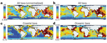 Crean el primer mapa que analiza los patrones de biodiversidad marina 