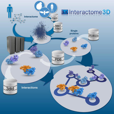 Las interacciones de las proteínas Interactome 3D