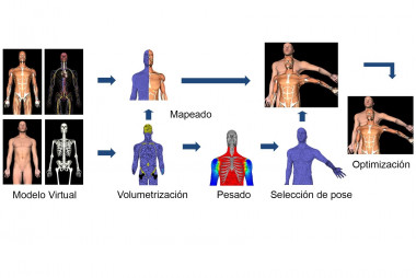 <p>Dicho algoritmo calcula de forma novedosa la influencia del movimiento de los huesos en el resto de estructuras anatómicas. / URJC</p>