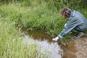 Desarrollan un sistema para reutilizar con garantías sanitarias lodos procedentes de aguas residuales