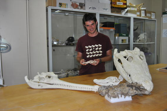 <p>Eduardo Puértolas, investigador del grupo Aragosaurus-IUCA de la Universidad de Zaragoza, posa con los restos fósiles hallados en Arén (Huesca). Imagen: UNIZAR.</p>