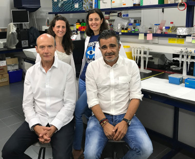 <p>(De izquierda a derecha): Alba Cortés y Carla Muñoz-Antoli; Guillermo Esteban y Rafael Toledo / Universidad de Valencia</p>