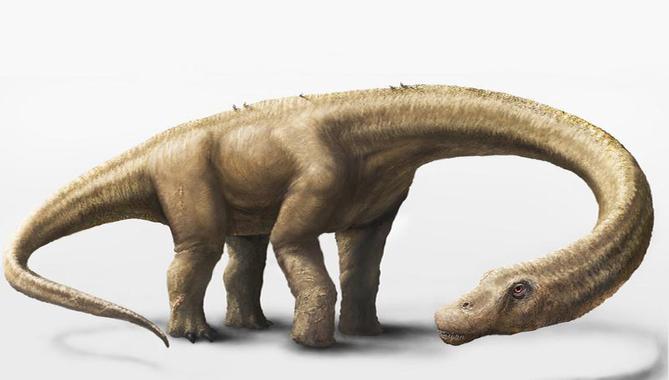 http://www.agenciasinc.es/var/ezwebin_site/storage/images/noticias/descubierto-el-dinosaurio-terrestre-mas-pesado-del-mundo/3365447-15-esl-MX/Descubierto-el-dinosaurio-terrestre-mas-pesado-del-mundo_image_380.jpg