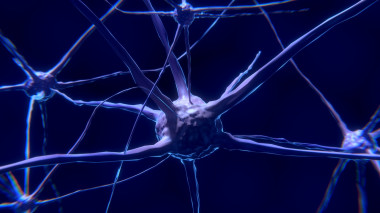 <p>La reparación espontánea de los nervios periféricos es posible gracias a las células de Schwann. / <a  data-cke-saved-href="https://pixabay.com/es/c%C3%A9lula-del-nervio-neurona-cerebro-2213009/" href="https://pixabay.com/es/c%C3%A9lula-del-nervio-neurona-cerebro-2213009/" target="_blank">Pixabay</a></p>