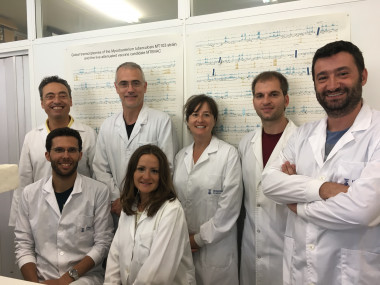 <p>Imagen de los investigadores participantes en el estudio, con Nacho Aguiló, a la derecha, y Carlos Martín, a la izquierda de pie. / Unizar</p>