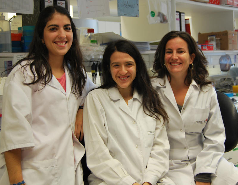 Las investigadoras del trabajo sobre la angiogénesis. / Idibell Las investigadoras del trabajo sobre la angiogénesis. / Idibell