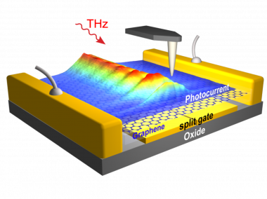 <p>Los plasmones de terahercios se propagan a lo largo una lámina de grafeno con longitudes de onda extremadamente cortas, como se visualiza en las imágenes de fotocorriente obtenidas por microscopia de sonda de barrido. / CIC nanoGUNE</p>
