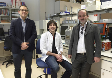 <p>De izquierda a derecha, Gorka Orive, Pello Sánchez y José Luis Pedraz. / UPV/EHU</p>