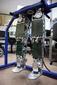 Robot humanoide TEO, desarrollado por el RoboticsLab de la UC3M. Imagen: UC3M.