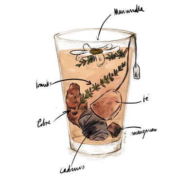 <p>Infusiones / Ilustración de Louise A.</p>