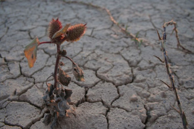 <p>La combinación de la reducción de las precipitaciones y, muy especialmente, la subida de las temperaturas que se está produciendo han generado una reducción media del volumen de agua que va a parar a los cauces de más del 20% en tan sólo 25 años. / <a href="https://www.flickr.com/photos/poper/58506662/in/photolist-6aRZy-wtNFeU-4tSg7d-4L9n1v-hdjV5h-bmEHHp-4Ju6WV-4FCyKC-4Ju3vD-4SBMNi-5KWSKR-4aYpxs-7DSkt-gBv9S5-r1mRQf-52SsfS-4Jf8K3-4uHYm7-5EpoLm-4GdMxy-4hPMg8-5YuSH-5PDUrr-4L9nWv-km5CkP-km7iBU-km4Pdz-km7jn1-km4Q3v-km5BTM-a3itSE-km4JCc-km7ba9-km7mk9-km4HnX-km7g7d-km5uAk-5PDWni-km5os8-km4QTZ-km5Aep-km7e9W-km5xRi-km7eyo-km7kKb-km7eS9-km5yex-km5ABZ-km4BEV-km4zgM" target="_blank">Antonio Martínez</a></p>