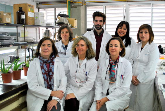 María Ángeles Fernández Arche (centro de la imagen) junto al resto de miembros del grupo Plantas Medicinales. / US María Ángeles Fernández Arche (centro de la imagen) junto al resto de miembros del grupo Plantas Medicinales. / US