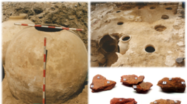 Muestras arqueológicas