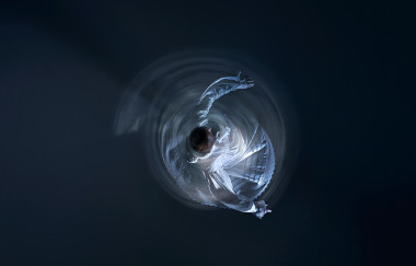 Fotografía que ilustra el símil de un electrón atrapado bailando alrededor del núcleo atómico. / Fotografía: López de Zubiría / Dirección de arte: Santos Bregaña / Bailarina: Itsaso Gabellanes.


