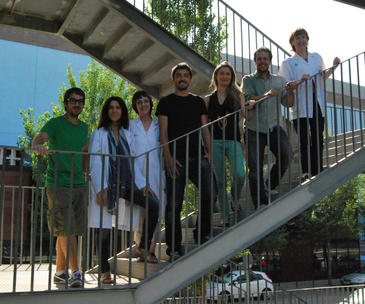 El grupo de investigación del trabajo. / Idibell El grupo de investigación del trabajo. / Idibell