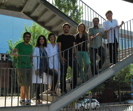 <p>El grupo de investigación del trabajo. / Idibell</p>