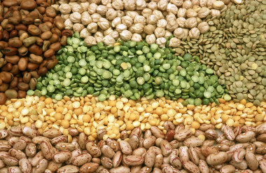 <p>La FAO declaró el año 2016 como el año internacional de las legumbres con el objetivo de concienciar a la población sobre sus beneficios nutricionales. / CSIRO</p>