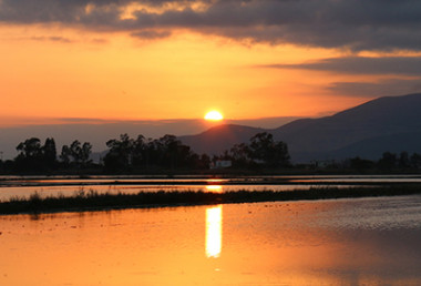 <p>Atardecer en el Delta del Ebro. / IRTA</p>