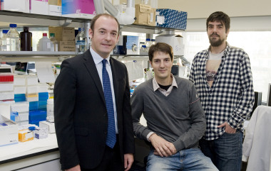 <p>De izquierda a derecha: Aleix Prat, Roger Gomis y Juan Miguel Cejalvo. / Francesc Avia - Hospital Clínic.</p>