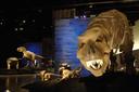 El Parque de las Ciencias expone hasta septiembre de 2012 'Tyrannosaurus rex'