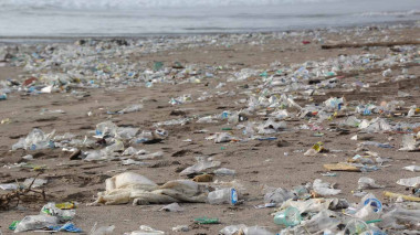 <p>Residuos plásticos en la playa / <a href="https://pixabay.com/es/users/hhach-146898/" target="_blank">hhach</a></p>