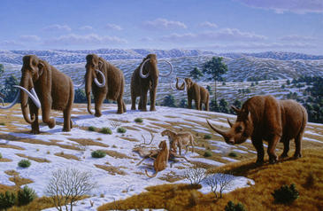 El reno y el mamut ya vivían en la Península Ibérica hace 150.000 años