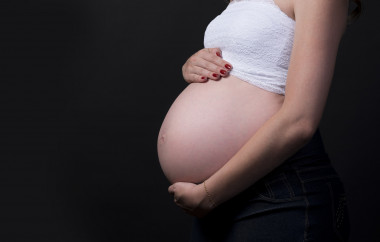 <p>La anemia afecta a 32 millones de mujeres embarazadas en el mundo. / Pixabay</p>
