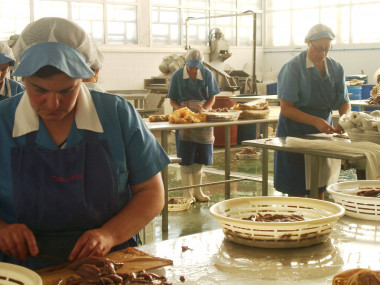 <p>Trabajadoras limpiando anchoa. / <a href="https://www.flickr.com/photos/gaelx/1569427612/in/album-72157602416318401/" target="_blank">Gaelx </a></p>