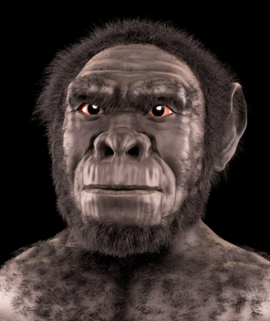 <p><em>Homo habilis</em>, reconstrucción facial forense / <a href="https://es.wikipedia.org/wiki/C%C3%ADcero_Moraes" title="Cícero Moraes" target="_blank">Cícero Moraes</a>.</p>