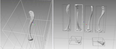 <p>A la izquierda, orientaciones fusionadas de la clavícula completa. A la derecha, escaneo de seis orientaciones de clavícula. / Elena Ruiz.</p>