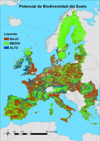 <p>Primer mapa digital europeo sobre biodiversidad del suelo. / Fundación Descubre</p>