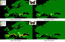 Especies similares pueden tener historias evolutivas diferentes