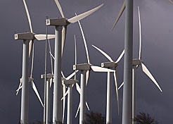 Europa concede más de dos millones de euros a Navarra para proyectos de medio ambiente 
