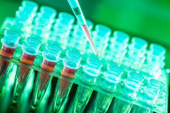 <p>Los investigadores comparten sus descubrimientos en fase inicial en internet y comparan y debaten su trabajo para mejorarlo / Fotolia</p>