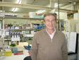 Expertos de la Universidad de Sevilla estudian la relación entre el sistema inmune del cerebro y el Alzheimer  