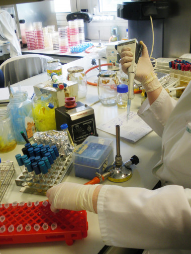<p>Laboratorio de Microbiología de los Alimentos y del Medio Ambiente de la Universidad de Jaén de la Universidad de Jaén (UJA)</p>