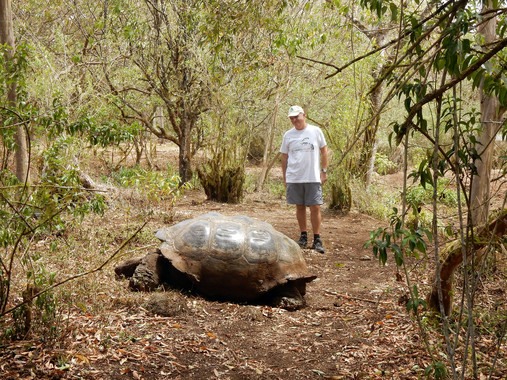 <p>El profesor de Zoología de la Universidad de Málaga Raimundo Real en las Islas Galápagos / Universidad de Málaga</p>