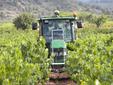 GPS y visión artificial para hacer mejor vino
