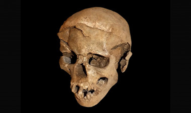 <p>Los esqueletos hallados en Nataruk (Kenia) muestran signos de un posible ataque intergrupal en el pasado. En la imagen, uno de los cráneos encontrados, en el que se aprecian las lesiones en las partes frontal y lateral. / Marta Mirazon Lahr</p>