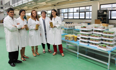 <p>Investigadores del Grupo de Química y Bioquímica de Pigmentos y del Grupo de Antimicrobianos Naturales, ambos del Instituto de la Grasa de Sevilla (CSIC) / Fundación Descubre</p>