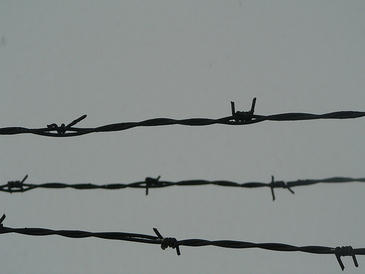Historiadores revisan el Holocausto nazi y el Gulag soviético 