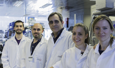 De izquierda a derecha: Fernando García-Marqués, Enrique Calvo, Jose A. Enríquez, Marta Loureiro-López y Adela Guarás. / CNIC
