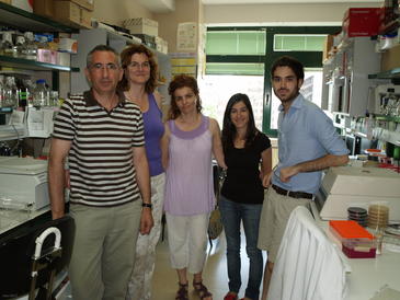 Identifican dos sistemas que emplean las bacterias 'fabricantes' de antibióticos